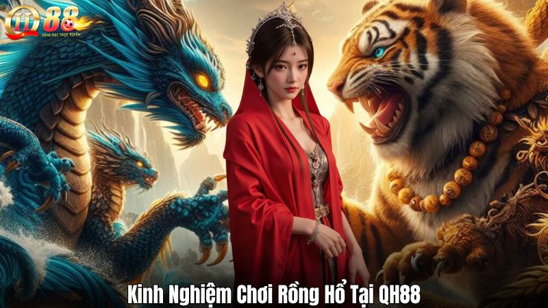 Rồng Hổ QH88 – Hướng Dẫn Nâng Cao Tỷ Lệ Thắng Cho Người Mới Kinh Nghiệm Chơi Rồng Hổ Tại QH88